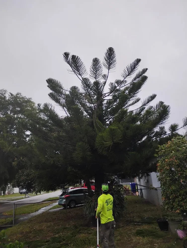 Reliable landscaping services for beautiful yards across fort lauderdale, FL - Lightning Tree Service
