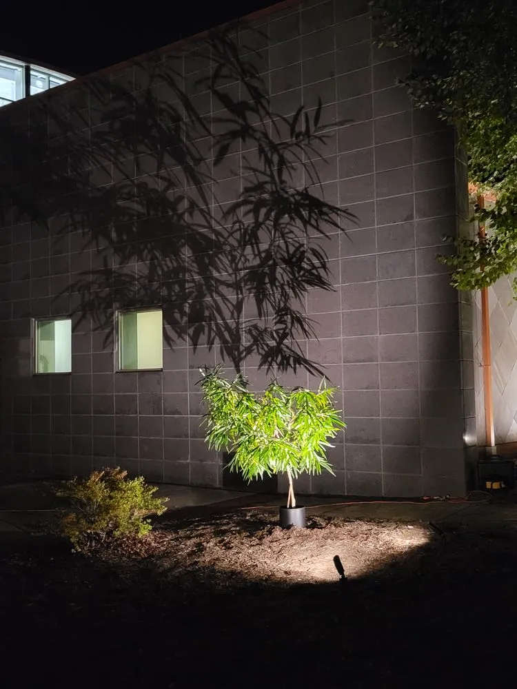 Reliable yard cleanup service for year-round maintenance in Zebulon, NC by Lights and Land