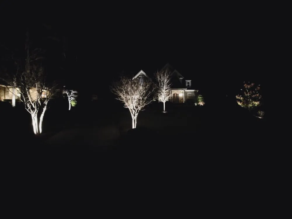 Expert yard cleanup service in Zebulon, NC - Lights and Land