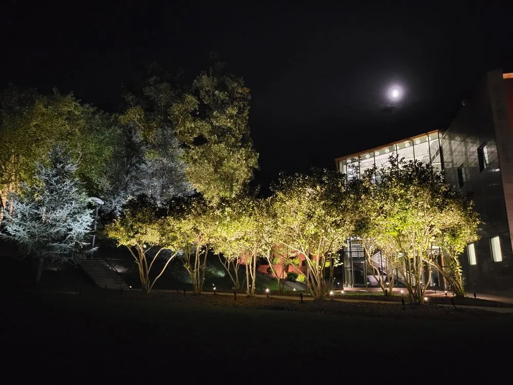 Local yard cleanup service in Zebulon, NC by Lights and Land