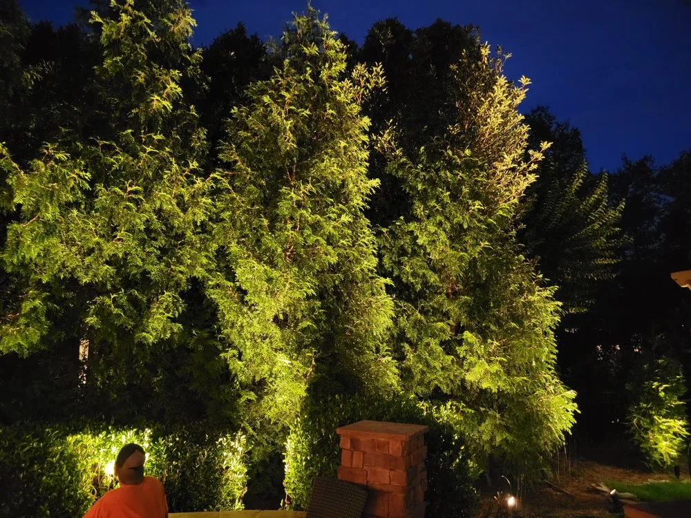 Professional yard cleanup service with custom design in Zebulon, NC by Lights and Land