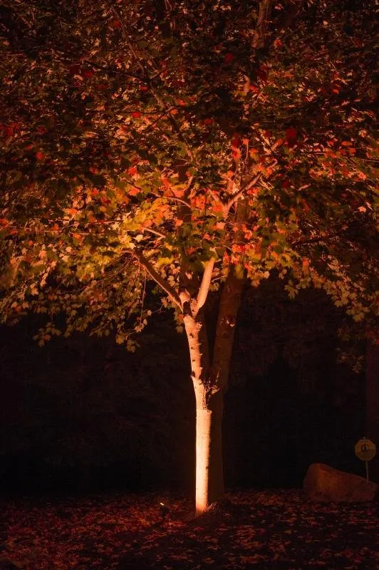 Expert landscape installation in Boise, ID - LightScape