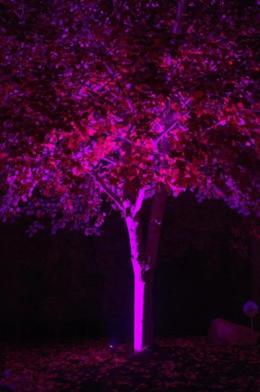 Top-rated outdoor landscaping in Boise, ID by LightScape