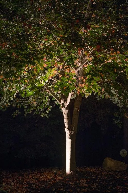 Trusted landscaping services experts serving Boise, ID - LightScape