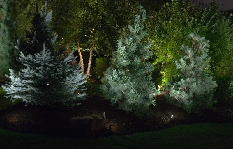 Local yard maintenance in Boise, ID - LightScape