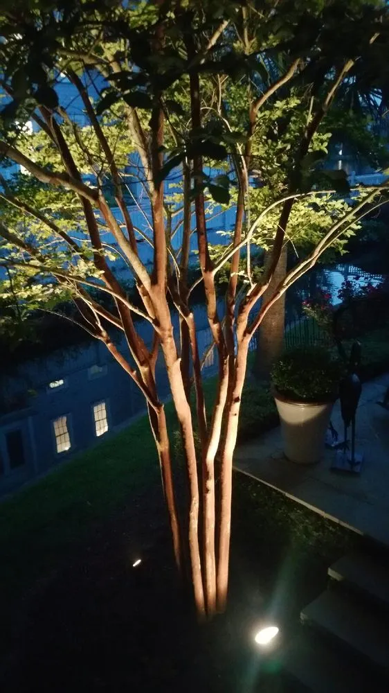 Custom landscaping services experts serving Isle Of Palms, SC - Lightscapes Of Charleston