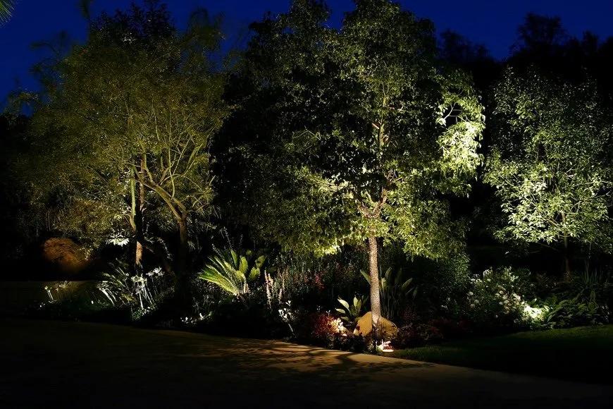 Professional yard cleanup service in Winter Park, FL by Lightscapes Outdoor Lighting