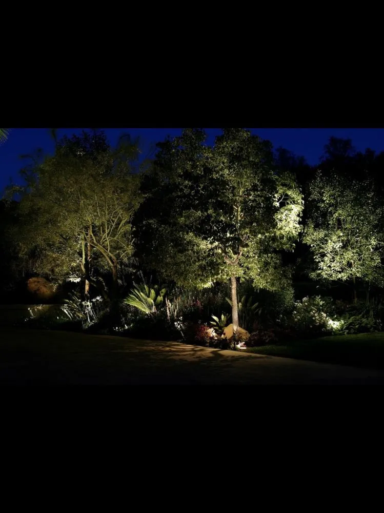 Local yard cleanup service in Winter Park, FL - Lightscapes Outdoor Lighting