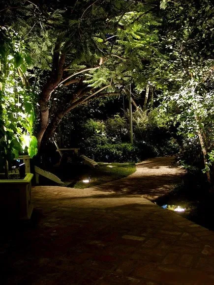 Top-rated yard maintenance near you in Winter Park, FL by Lightscapes Outdoor Lighting
