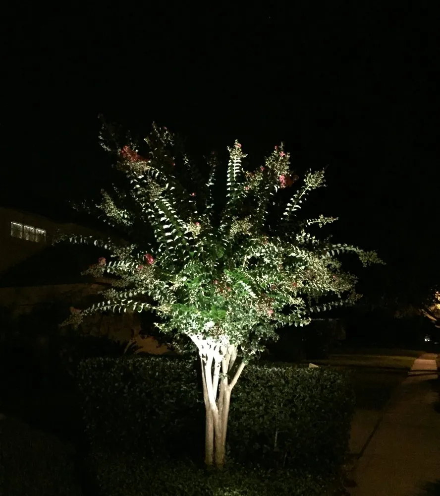 Top-rated landscape design in Winter Park, FL by Lightscapes Outdoor Lighting