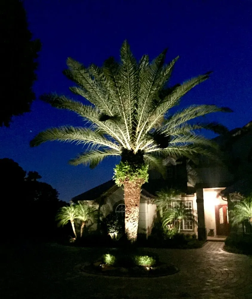 Expert landscape design in Winter Park, FL by Lightscapes Outdoor Lighting