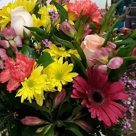 Custom landscaping services for year-round maintenance in Lancaster, CA by Lightspeed Builders