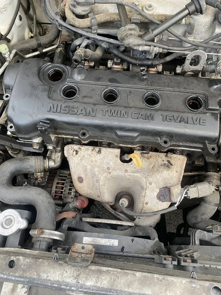 Affordable yard cleanup service in Brevard, NC - Lightspeed Rescue Mobile Mechanic & Lawncare