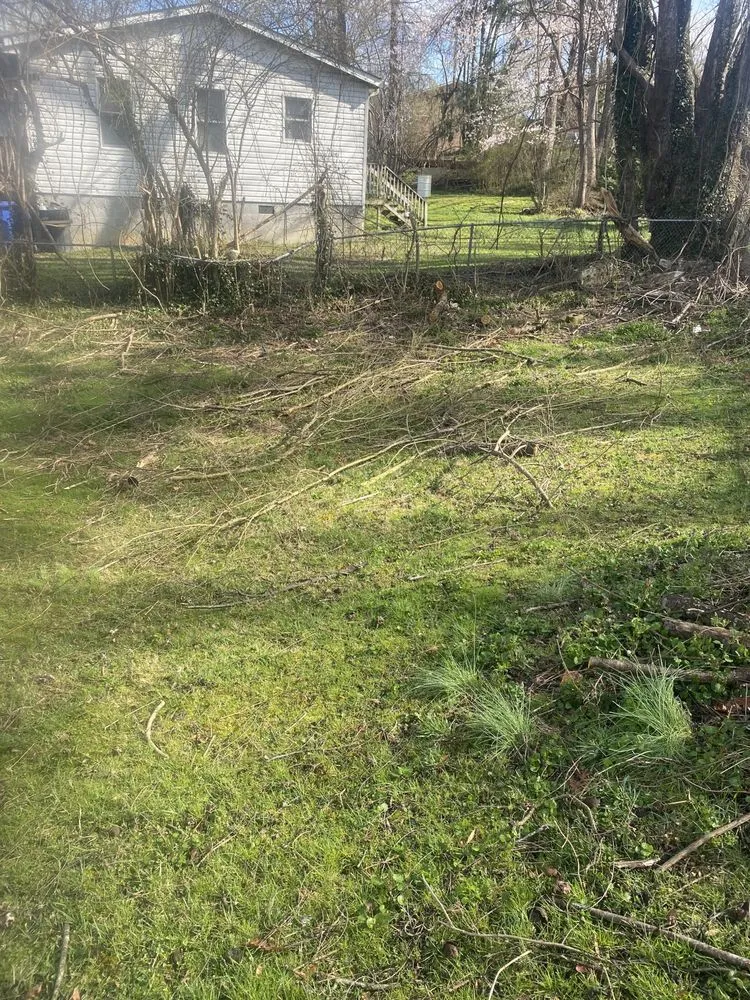 Expert landscaping services in Brevard, NC - Lightspeed Rescue Mobile Mechanic & Lawncare