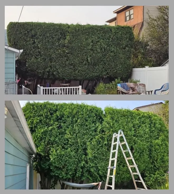 Local landscape design for outdoor upgrades in Avoca, PA by Ligi's Local Lawn Care