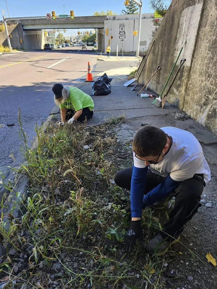 Top-rated residential landscaping for residential properties across Avoca, PA - Ligi's Local Lawn Care