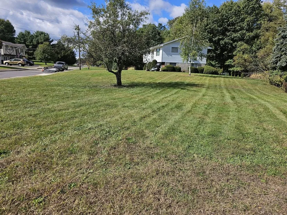 Trusted landscape design for outdoor upgrades across Avoca, PA - Ligi's Local Lawn Care