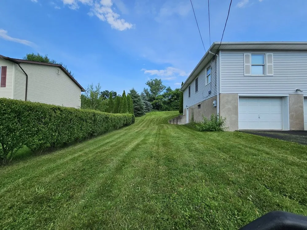 Reliable lawn care service in Avoca, PA by Ligi's Local Lawn Care