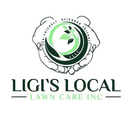 Top-rated yard cleanup service in Avoca, PA - Ligi's Local Lawn Care