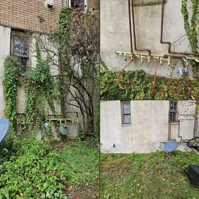 Top-rated lawn mowing service experts serving Avoca, PA - Ligi's Local Lawn Care