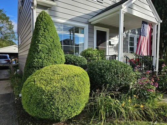 Ligi's Local Lawn Care