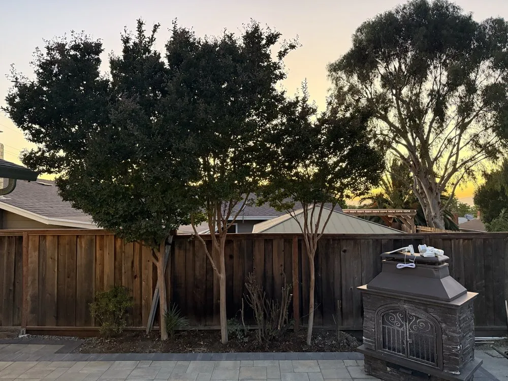 Top-rated landscaping services in Antioch, CA by Lijah’s Shine & Trim