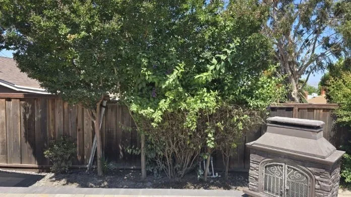 Custom yard maintenance experts serving Antioch, CA - Lijah’s Shine & Trim