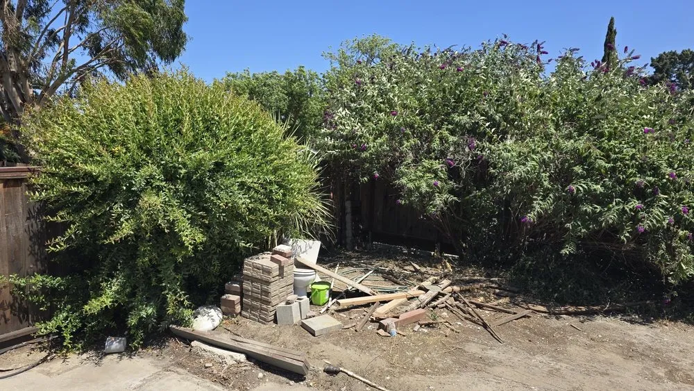 Local outdoor landscaping experts serving Antioch, CA - Lijah’s Shine & Trim