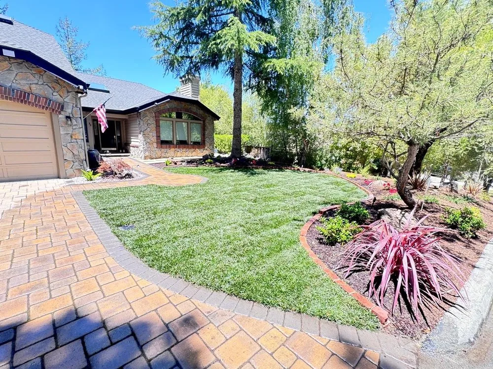 Custom yard maintenance in Novato, CA by Likathi General Landscaping Service
