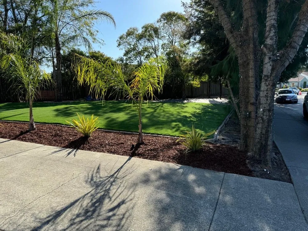 Top-rated landscape design experts serving Novato, CA - Likathi General Landscaping Service