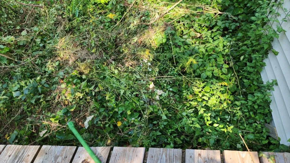 Trusted garden landscaping in Worcester, MA - Like Father Like Son Landscape and Urban Garden