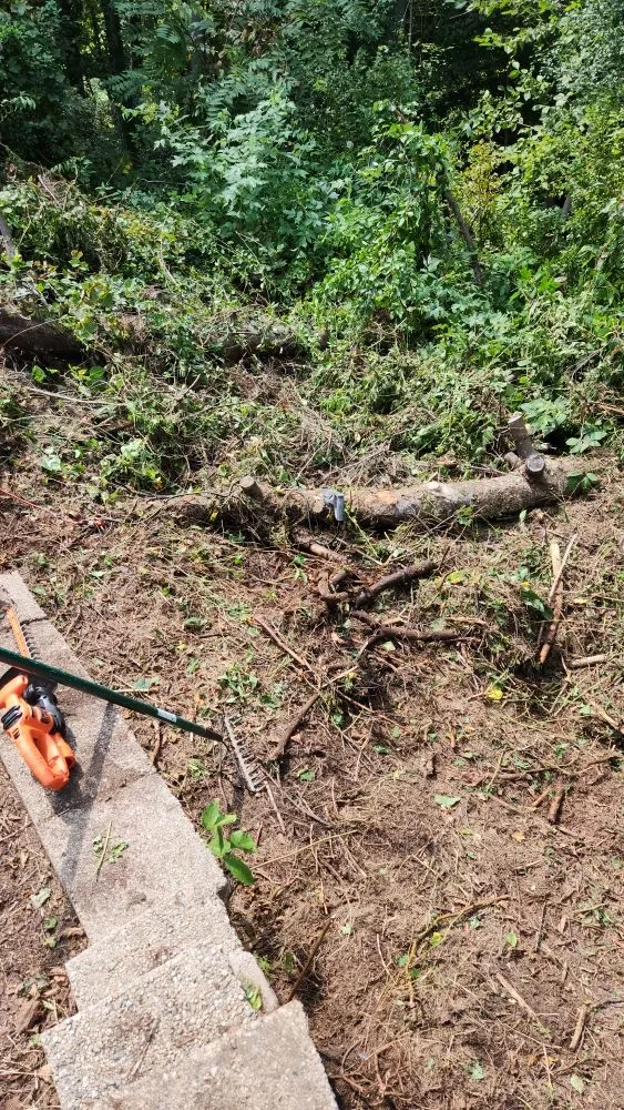 Professional residential landscaping in Worcester, MA - Like Father Like Son Landscape and Urban Garden