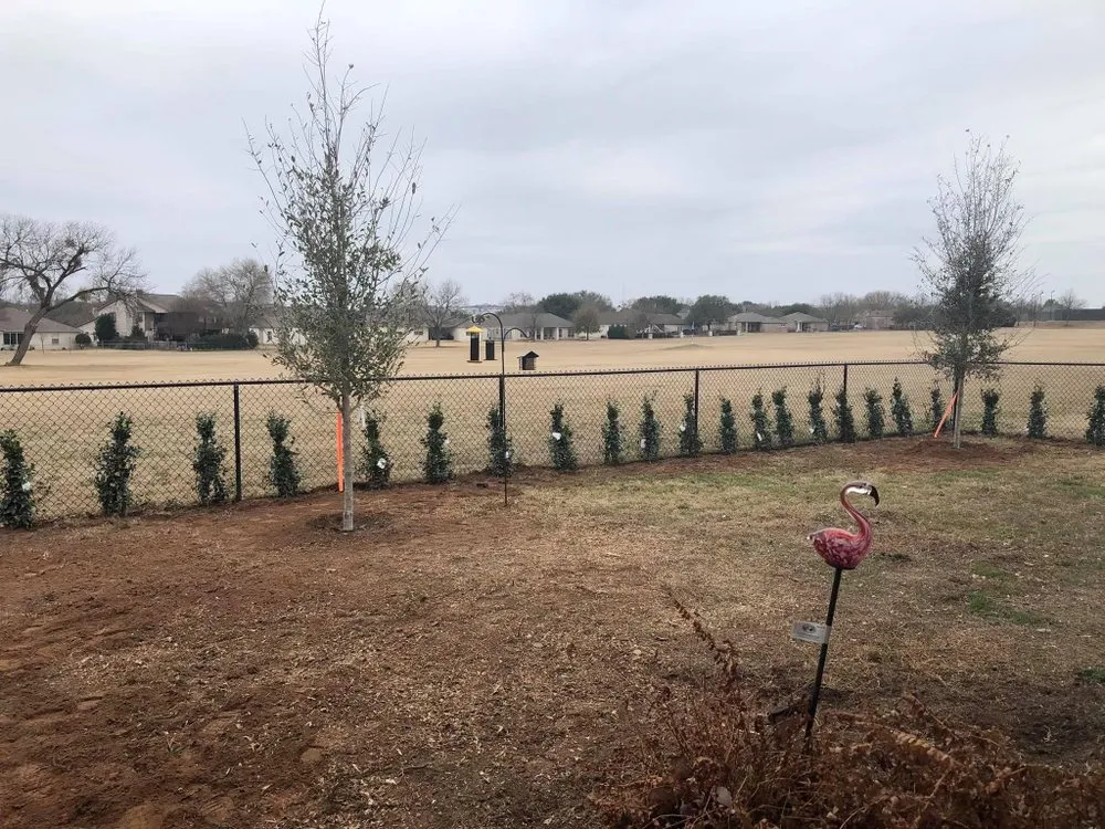 Local landscape design experts serving Marble Falls, TX - Like Father Like Son Landscaping