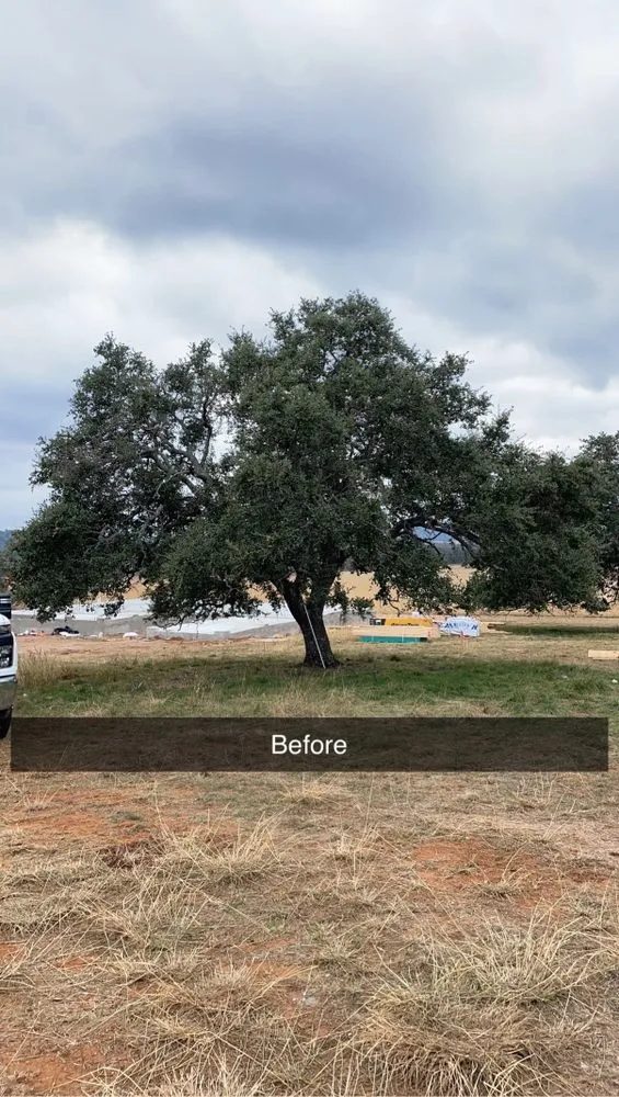 Top-rated outdoor landscaping for year-round maintenance in Marble Falls, TX by Like Father Like Son Landscaping