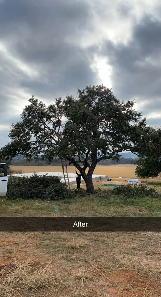 Trusted yard cleanup service in Marble Falls, TX - Like Father Like Son Landscaping