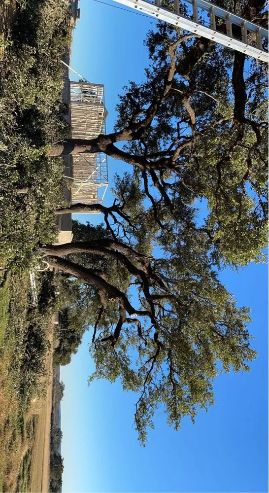 Expert landscape installation near you across Marble Falls, TX - Like Father Like Son Landscaping