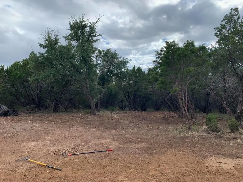 Professional landscape installation with custom design across Marble Falls, TX - Like Father Like Son Landscaping