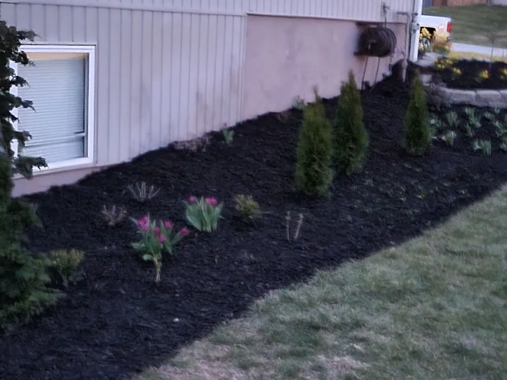 Reliable landscaping services in Kansas City, MO - Like Magic Lawn & Landscaping