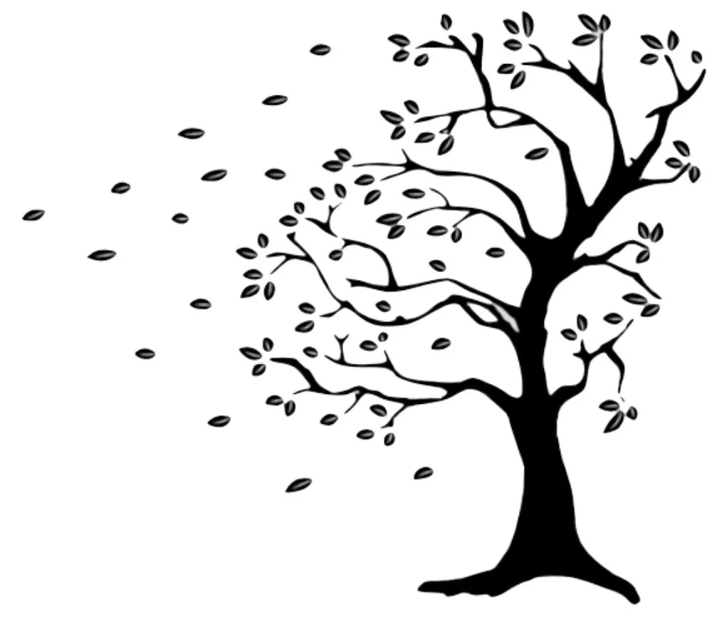 Professional lawn care service in Kansas City, MO by Like Magic Lawn & Landscaping