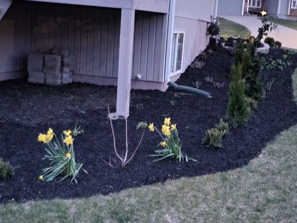 Top-rated landscaping services in Kansas City, MO by Like Magic Lawn & Landscaping