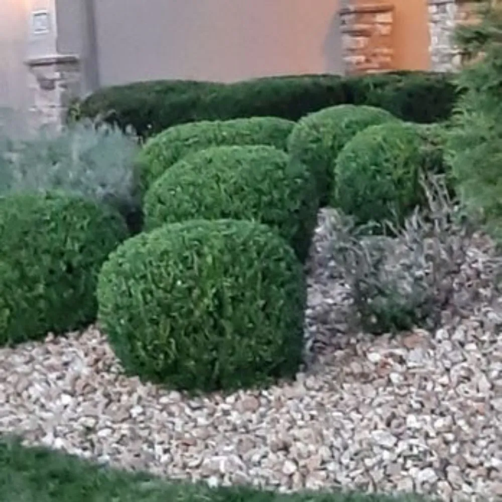 Custom landscape design in Kansas City, MO by Like Magic Lawn & Landscaping