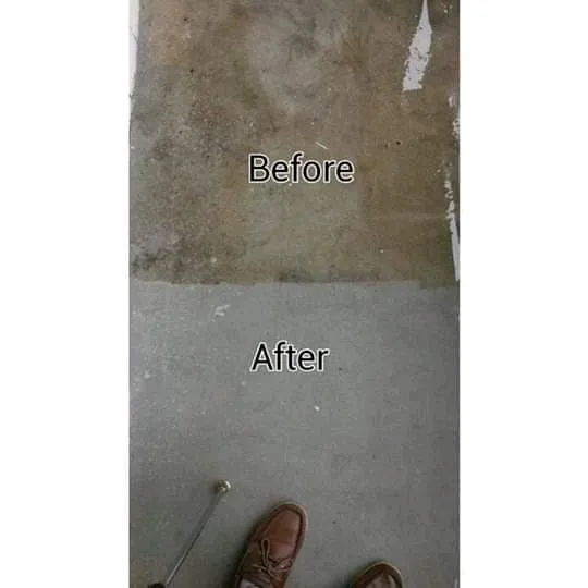 Custom yard maintenance for residential properties across Dalton, GA - Like New Home Detailing