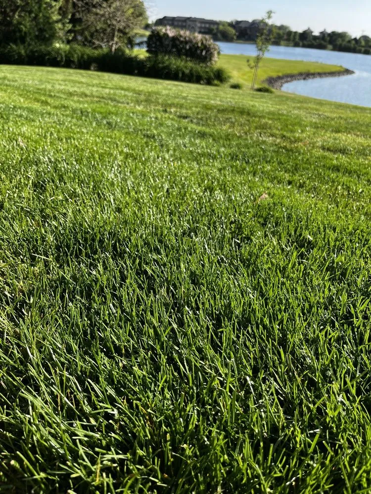 Reliable landscaping services for residential properties in Plainfield, IL by Likes Landscaping