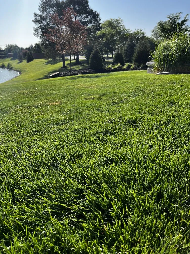 Professional lawn mowing service in Plainfield, IL - Likes Landscaping