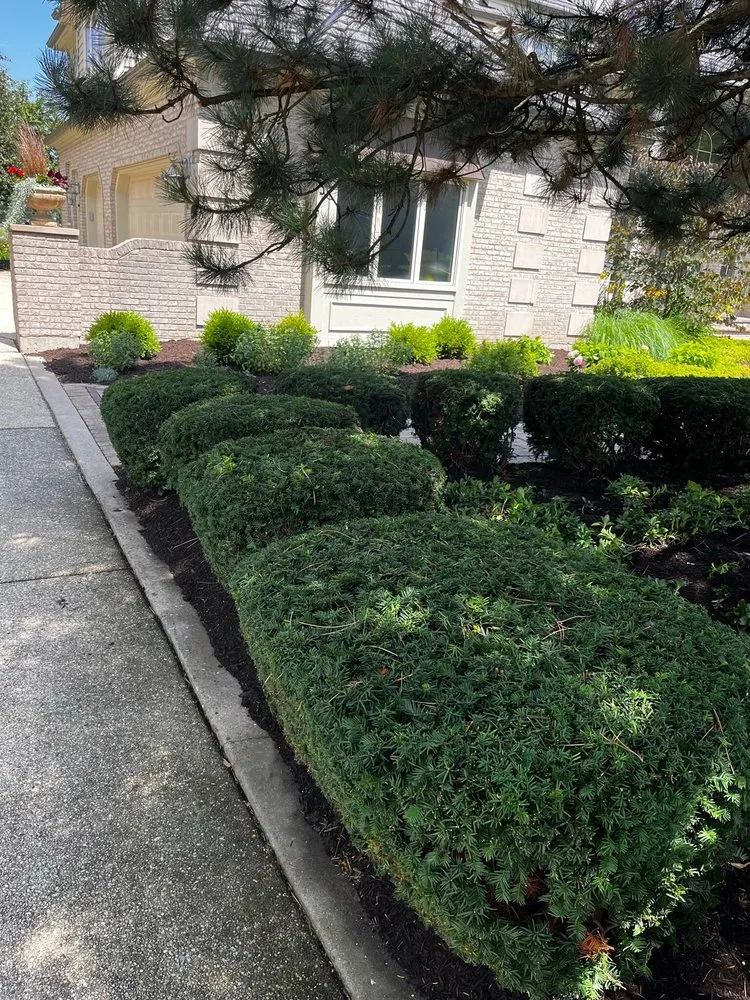 Expert lawn mowing service in Plainfield, IL - Likes Landscaping