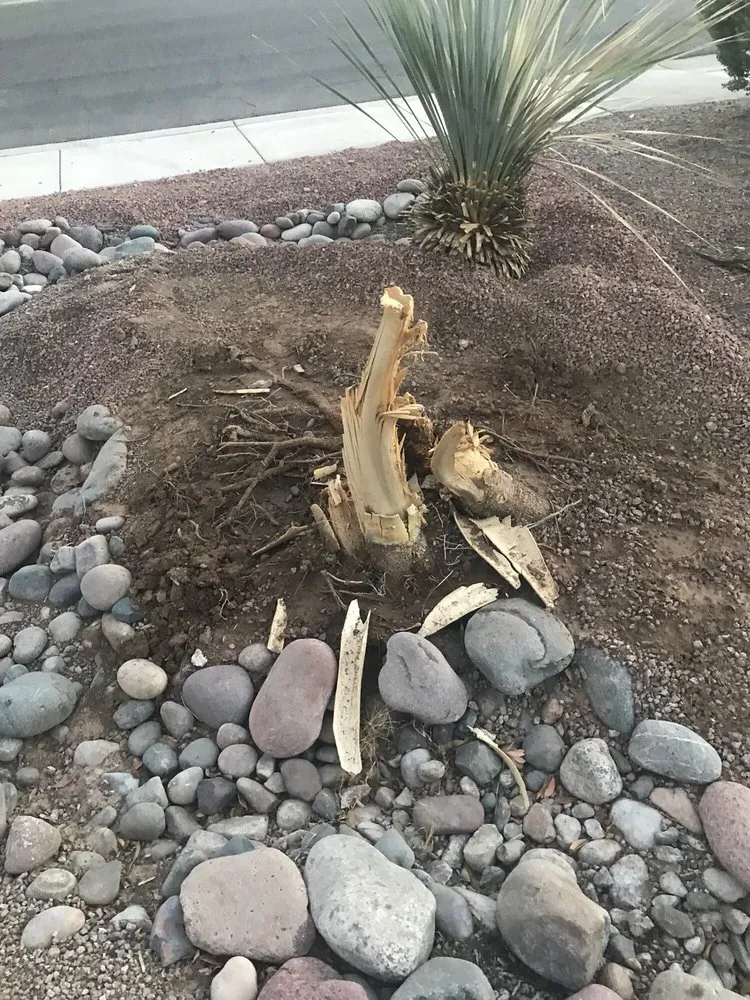 Affordable residential landscaping in Peoria, AZ by Lil Al's Landscapes