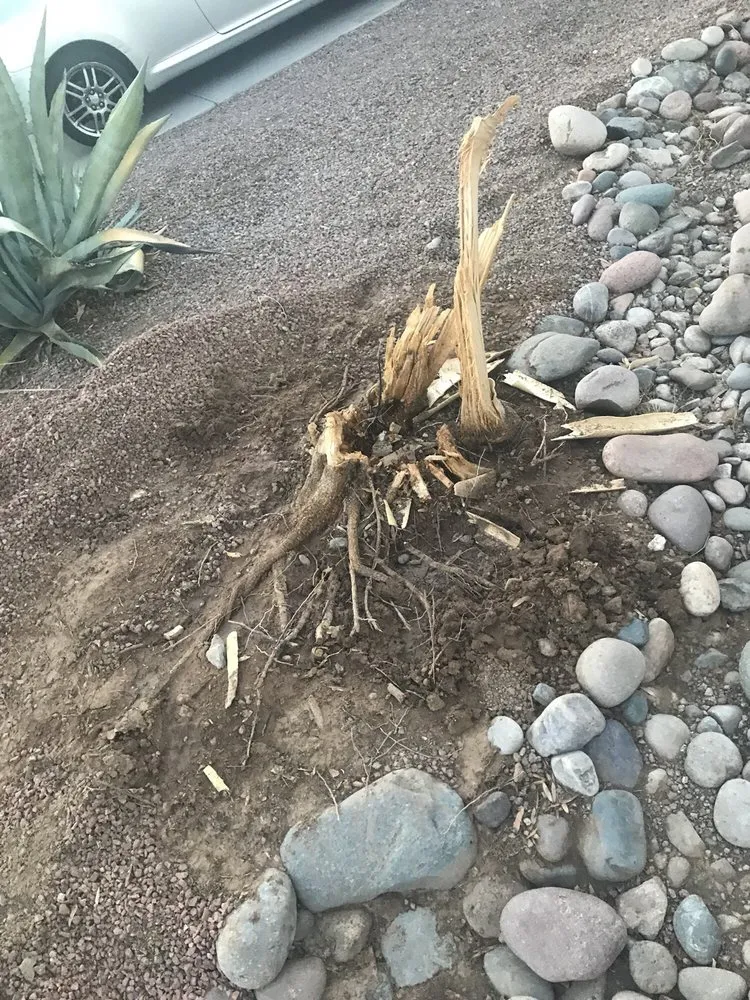 Local lawn mowing service in Peoria, AZ - Lil Al's Landscapes