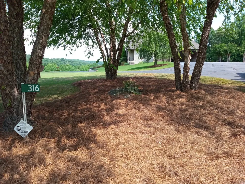 Professional yard cleanup service for year-round maintenance across Royston, GA - Lil Bit's Cleaning and Yard Services