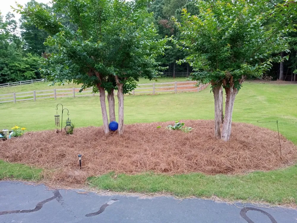 Trusted residential landscaping in Royston, GA - Lil Bit's Cleaning and Yard Services