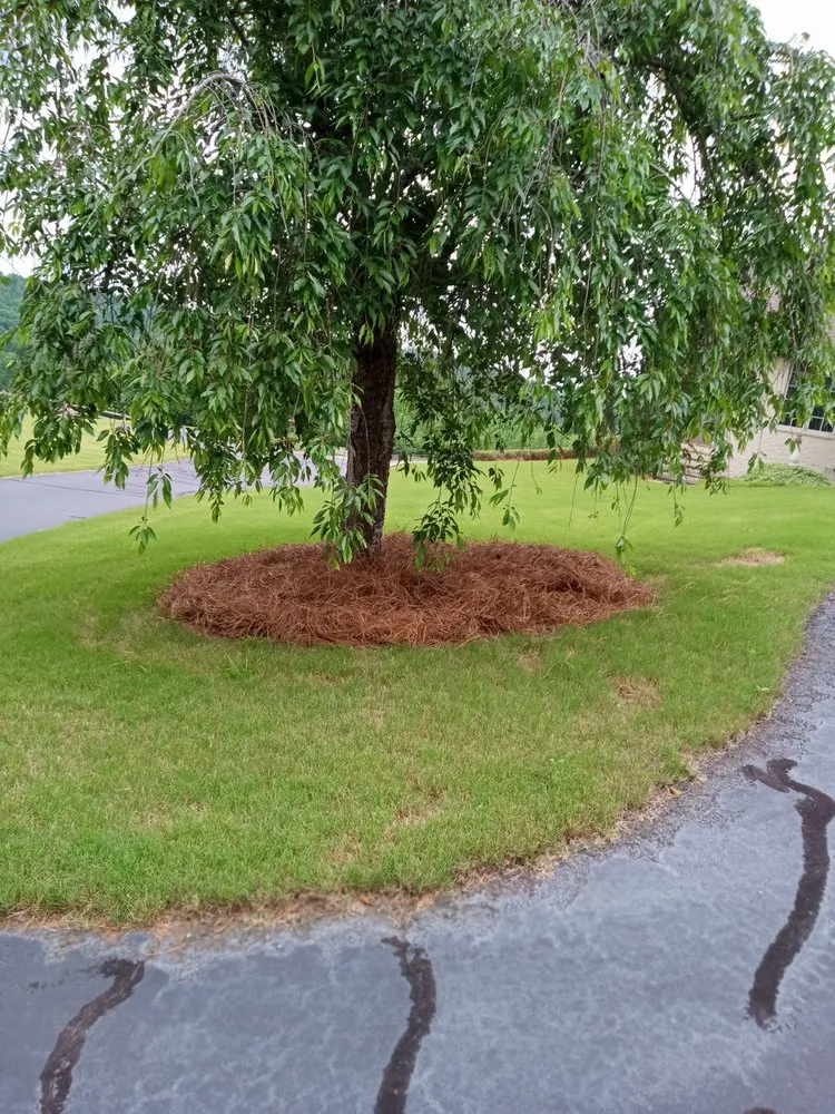 Local yard maintenance in Royston, GA - Lil Bit's Cleaning and Yard Services